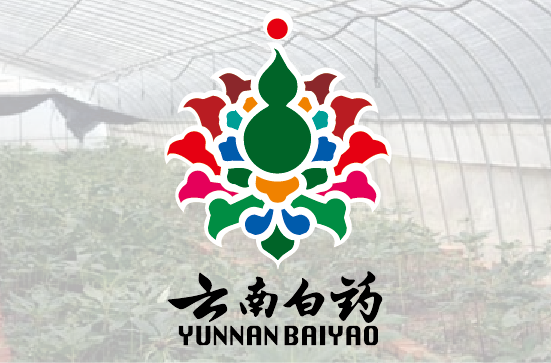 云南白药